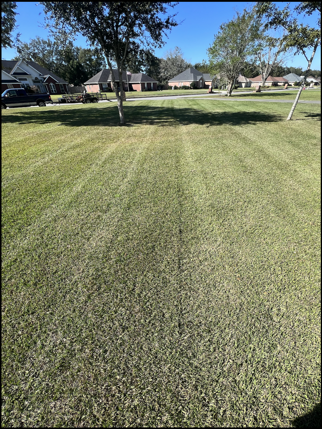 Lawncare Services
