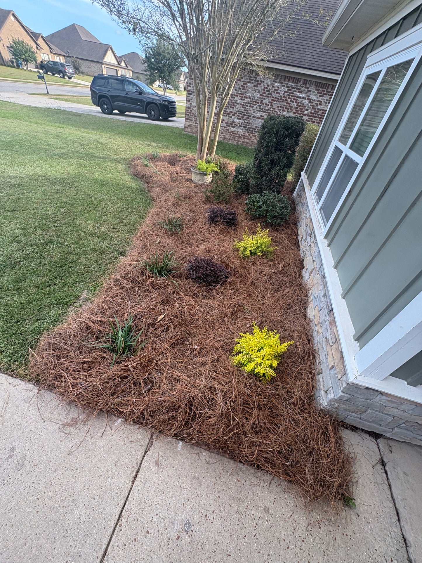 Pine Straw Delivery and Install